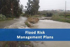 Flood Risk Management Plans