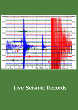 Live Seismic Records