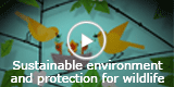 Sustainable environment and protection for wildlife
